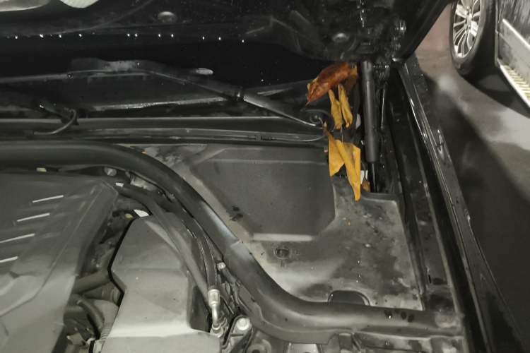 Used BMW 3 Series 2021 Second Facelift 320Li M Sport Package Engine Bay Left