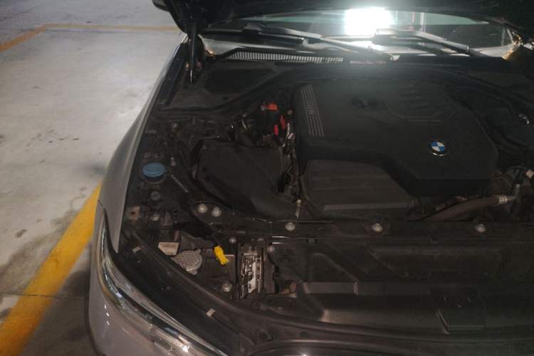 Used BMW 3 Series 2021 320Li M Sport Package Engine Bay Right