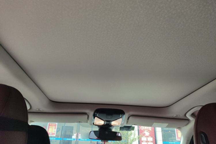 Used BMW 3 Series 2021 Restyled 325Li M Sport Package Headliner