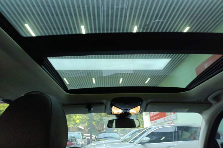 Used BMW 3 Series 2021 Second Facelift 325Li M Sport Night Edition Package Headliner