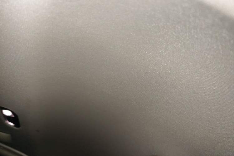 Used BMW 3 Series 2021 Facelifted 320Li M Sport Package Headliner