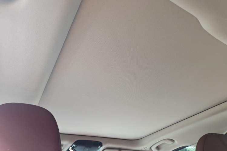 Used BMW 3 Series 2021 Second Facelift 325Li M Sport Night Edition Package Headliner