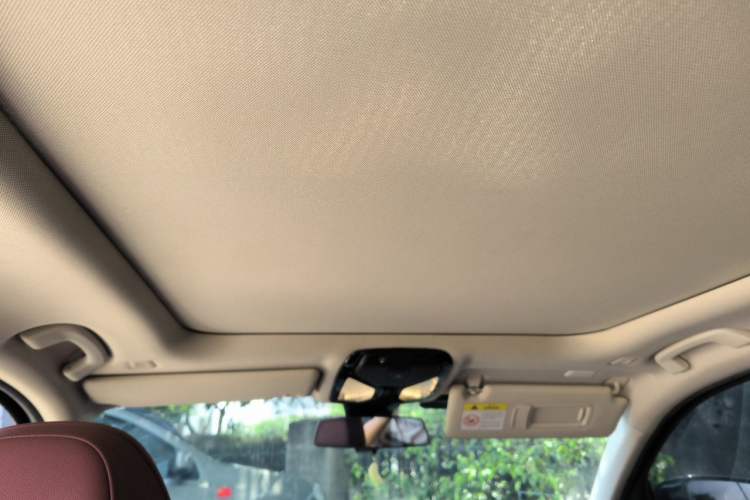 Used BMW 3 Series 2021 325Li M Sport Shadowline Package Headliner