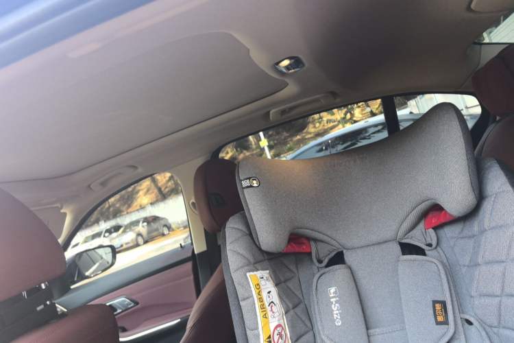 Used BMW 3 Series 2021 Second Facelift 325Li M Sport Package Headliner