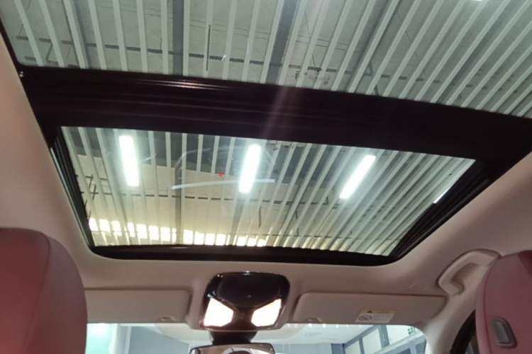 Used BMW 3 Series 2021 Second Facelift 325Li M Sport Package Headliner