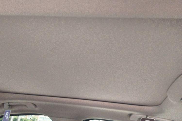 Used BMW 3 Series 2021 Restyled 325Li M Sport Package Headliner
