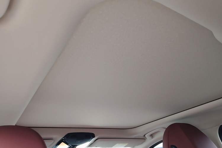 Used BMW 3 Series 2021 325Li M Sport Shadowline Package Headliner