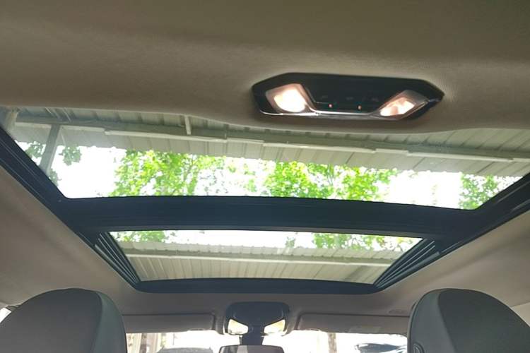 Used BMW 3 Series 2021 Facelifted 320Li M Sport Package Headliner