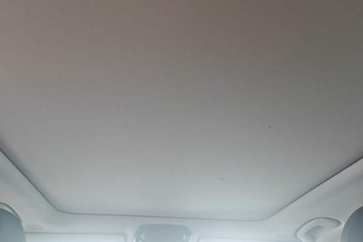 Used BMW 3 Series 2021 Restyled 325Li M Sport Package Headliner