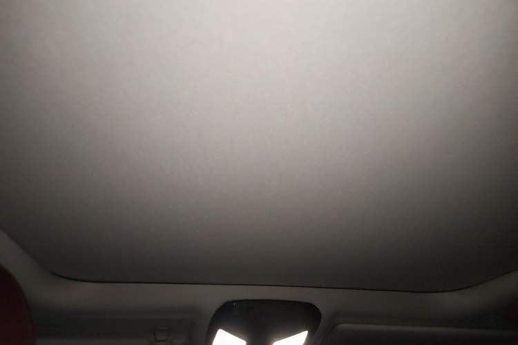 Used BMW 3 Series 2021 Second Facelift 320Li M Sport Package Headliner