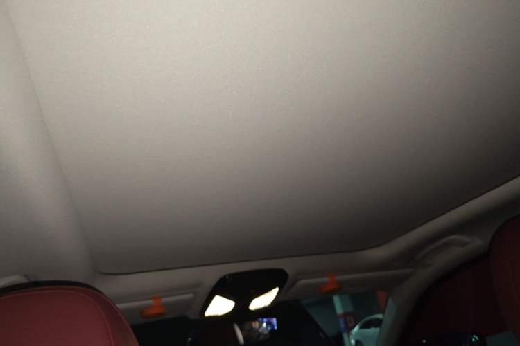 Used BMW 3 Series 2021 Facelifted 325Li M Sport Night Edition Package Headliner
