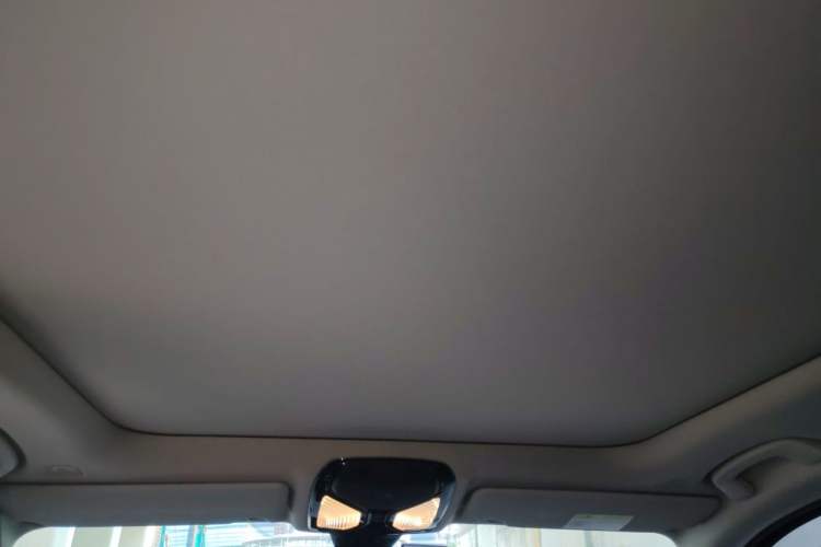 Used BMW 3 Series 2021 Second Facelift 325Li M Sport Package Headliner