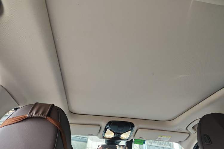 Used BMW 3 Series 2021 Second Facelift 325Li M Sport Package Headliner