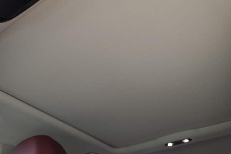 Used BMW 3 Series 2021 Second Facelift 320Li M Sport Package Headliner