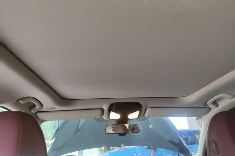 Used BMW 3 Series 2021 Facelifted 320Li M Sport Package Headliner