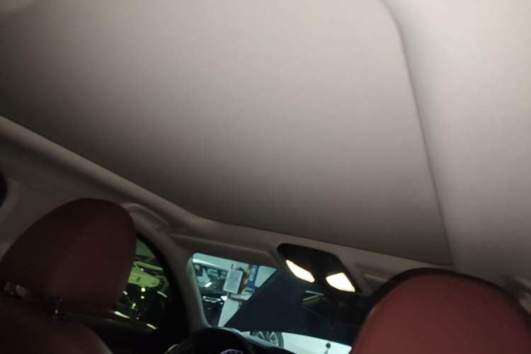 Used BMW 3 Series 2021 325Li M Sport Package Headliner