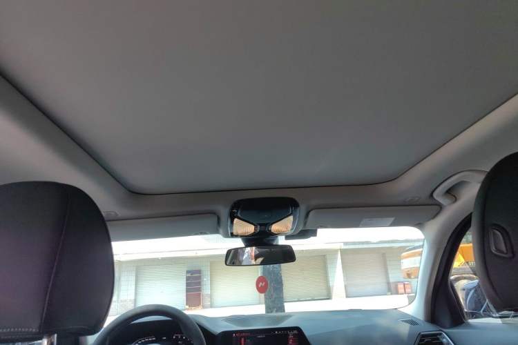 Used BMW 3 Series 2021 Second Facelift 325Li M Sport Package Headliner