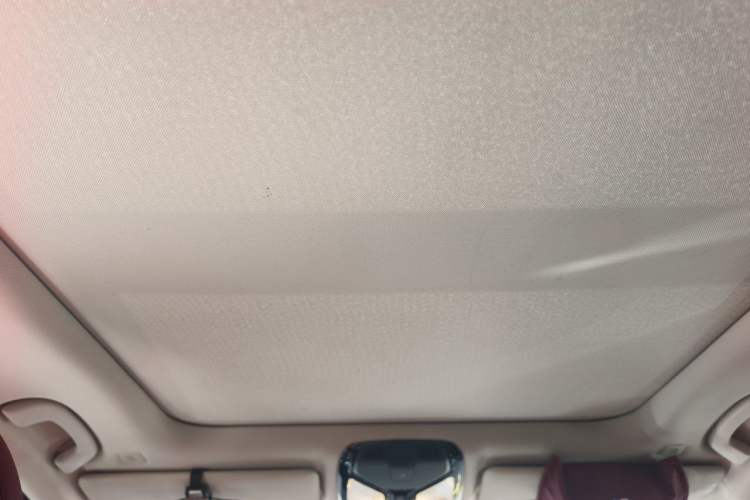 Used BMW 3 Series 2021 320Li M Sport Package Headliner