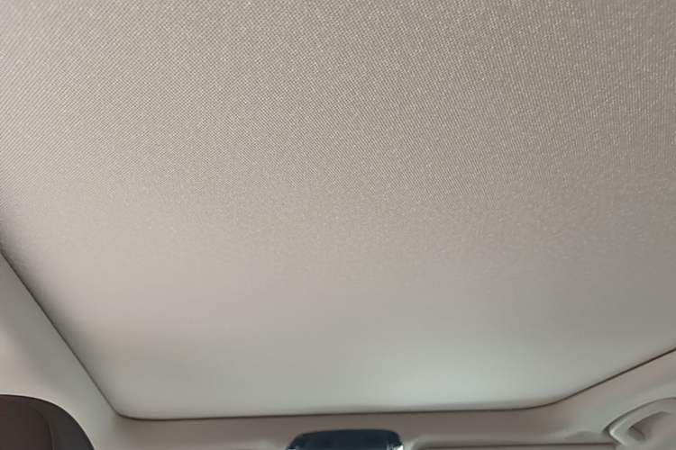 Used BMW 3 Series 2021 Facelifted 320Li M Sport Package Headliner