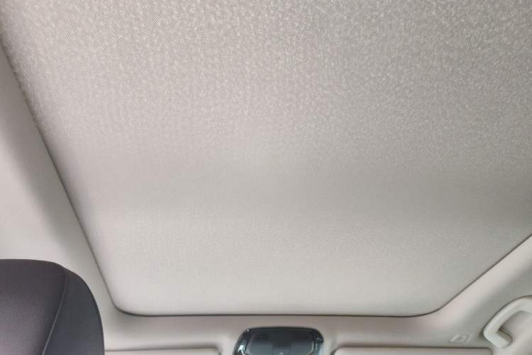 Used BMW 3 Series 2021 325Li M Sport Package Headliner