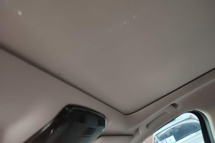 Used BMW 3 Series 2021 Facelifted 320Li M Sport Package Headliner