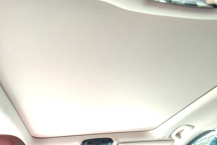 Used BMW 3 Series 2021 Restyled 325Li M Sport Package Headliner