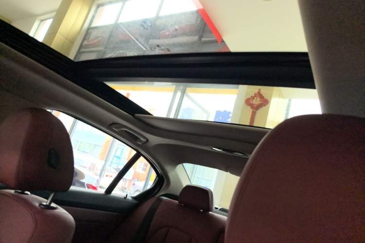 Used BMW 3 Series 2021 320Li M Sport Package Headliner