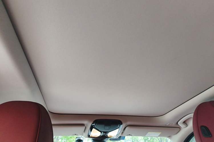 Used BMW 3 Series 2021 325Li M Sport Package Headliner