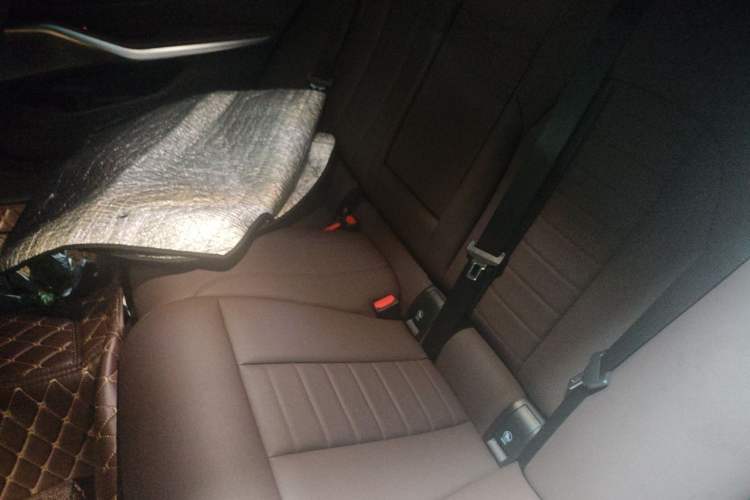 Used BMW 3 Series 2021 320Li M Sport Package Left Rear Seat