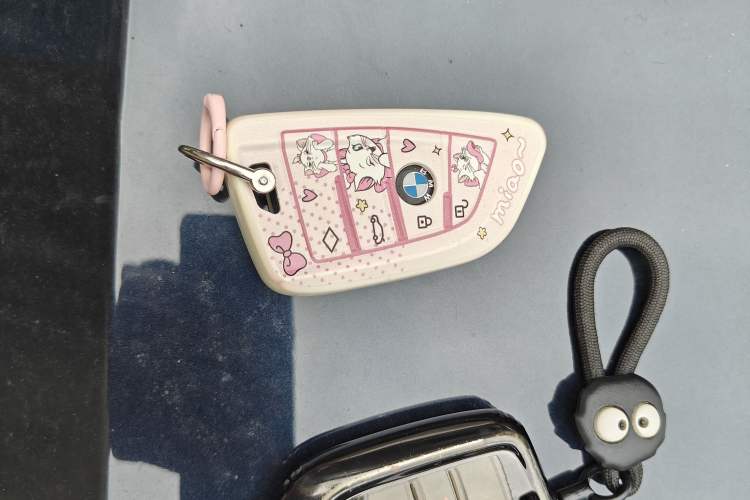 Used BMW 3 Series 2021 330i M Sport Night Edition Vehicle Key