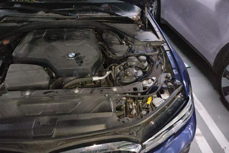 Used BMW 3 Series 2021 320Li M Sport Package Engine Bay Left