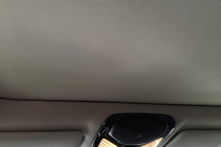 Used BMW 3 Series 2021 Second Facelift 325Li M Sport Package Headliner