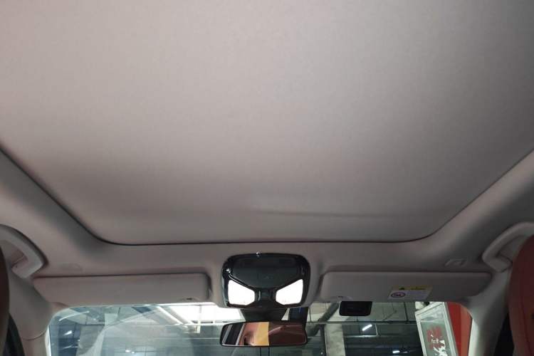 Used BMW 3 Series 2021 Second Facelift 325Li M Sport Package Headliner