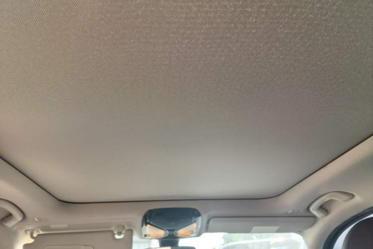 Used BMW 3 Series 2021 320Li M Sport Package Headliner