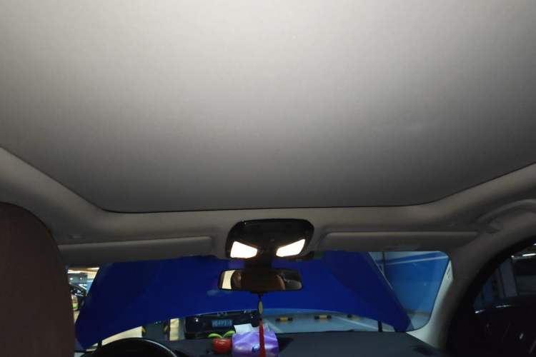 Used BMW 3 Series 2021 Facelifted 320Li M Sport Package Headliner
