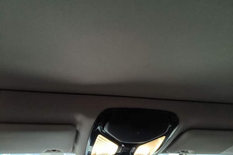 Used BMW 3 Series 2021 Second Facelift 320Li M Sport Package Headliner