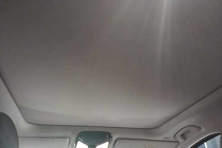 Used BMW 3 Series 2021 Second Facelift 325Li M Sport Package Headliner