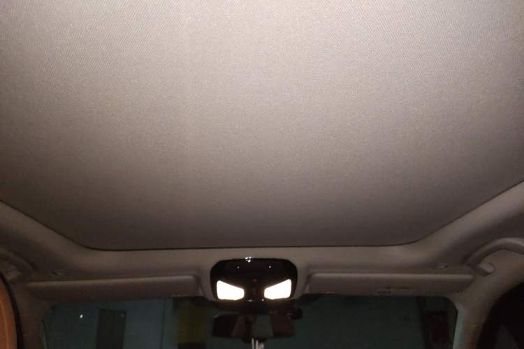 Used BMW 3 Series 2021 Facelifted 325Li M Sport Night Edition Package Headliner