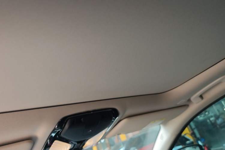 Used BMW 3 Series 2021 Second Facelift 320Li M Sport Package Headliner
