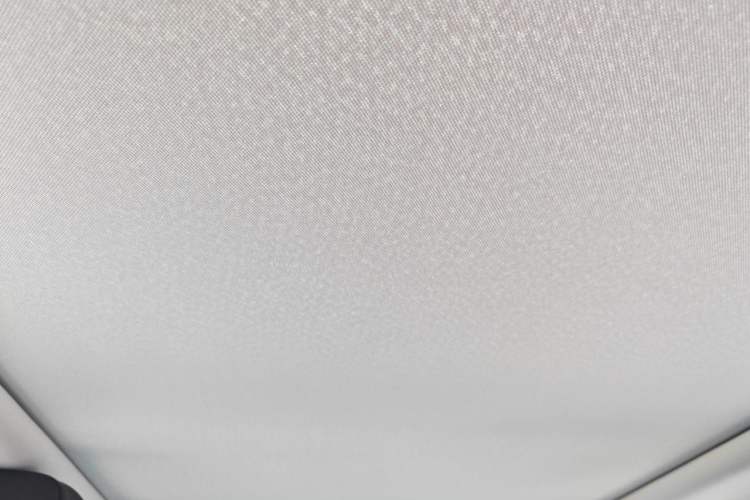 Used BMW 3 Series 2021 Facelifted 320Li M Sport Package Headliner