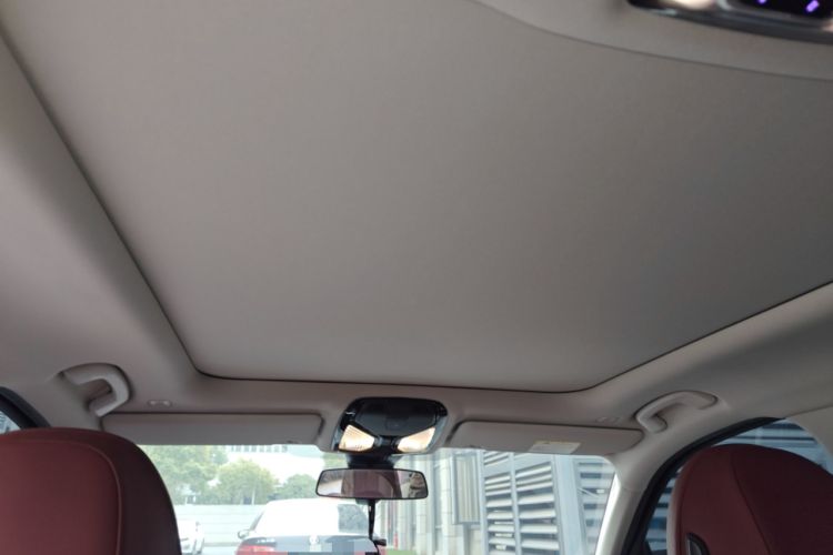 Used BMW 3 Series 2021 Restyled 325Li M Sport Package Headliner