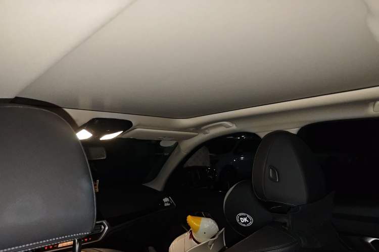 Used BMW 3 Series 2021 Facelifted 320Li M Sport Package Headliner