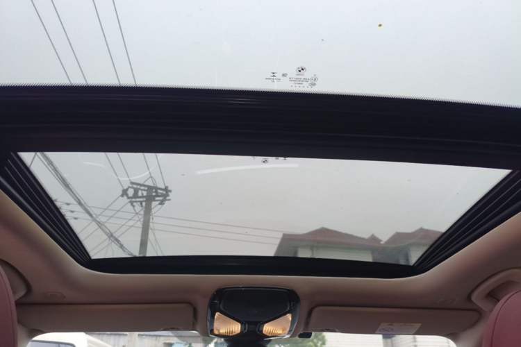 Used BMW 3 Series 2021 Second Facelift 325Li M Sport Package Headliner