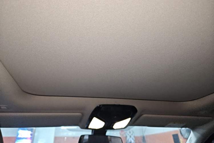 Used BMW 3 Series 2021 320Li M Sport Package Headliner