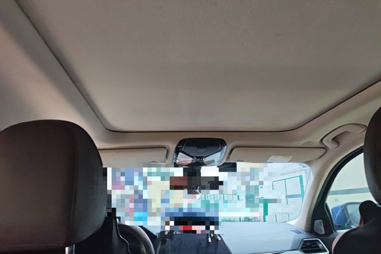 Used BMW 3 Series 2021 320Li M Sport Package Headliner