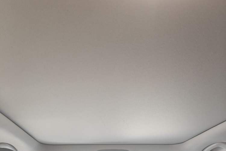 Used BMW 3 Series 2021 Second Facelift 320Li M Sport Package Headliner
