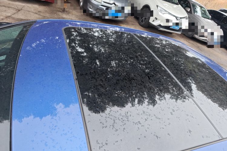 Used BMW 3 Series 2021 Second Facelift 325Li M Sport Package Roof