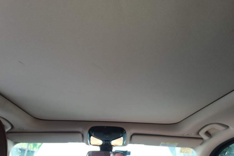 Used BMW 3 Series 2021 Facelifted 320Li M Sport Package Headliner
