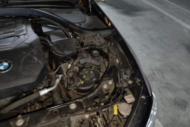 Used BMW 3 Series 2021 320Li M Sport Package Engine Bay Left