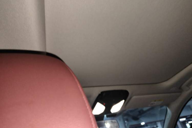 Used BMW 3 Series 2021 320Li M Sport Package Headliner